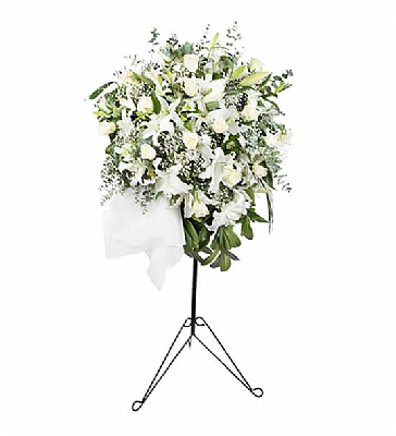 FERFORJE BEYAZ GL VE LLYUM