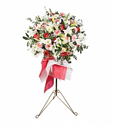 FEFORJE LLYUM,GL,GERBELLA