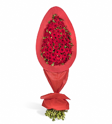 GELN DUVAI KIRMIZI GERBELLA