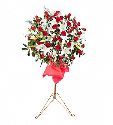 FERFORJE  LLYUM VE GL